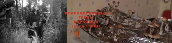 бошки Карталы