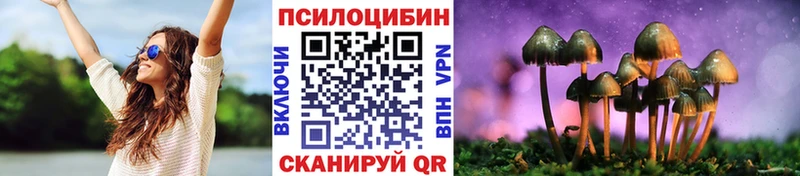 Галлюциногенные грибы GOLDEN TEACHER  Купить  Енисейск 